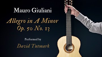 Mauro Giuliani - Allegro in A Minor Op. 50 No. 13