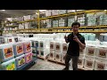 Upgrade Your Liquid Base Nutrients - (Cantonese Language)
