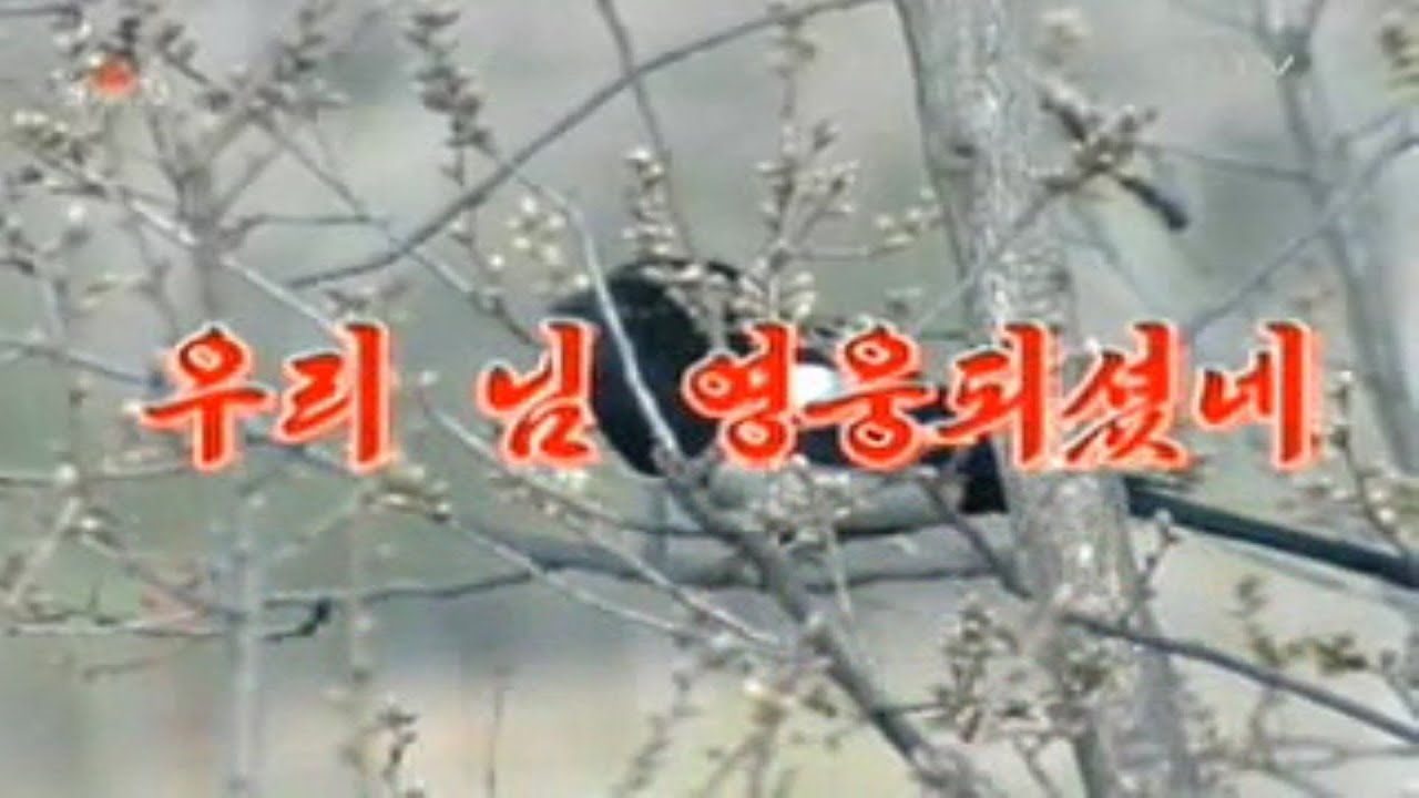 Pochonbo Electronic Ensemble - 우리 님 영웅되셨네 (My Dear Is a Hero Now) - YouTube