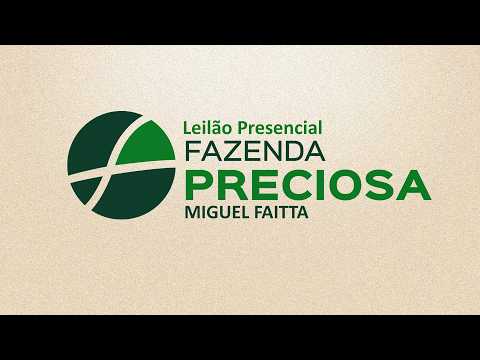 LOTE 08