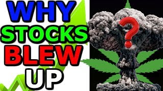 Why Did the Stock Market Go Up Today  - Tilray Stock Blows Up 30% - Jeff Sessions Fired