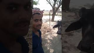 Ajay Raj video shot