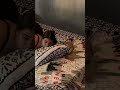 Ghost Caught On The Room 26 Lovedropnature37 