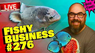 Friday Night Live! -  Fishy Business #276