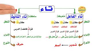 الفرق بين تاء الفاعل وتاء التانيث - سلسلة النحو التعليمى