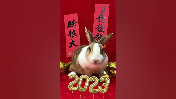 2023 新年快乐 兔年行大运 #shorts - 天天要闻