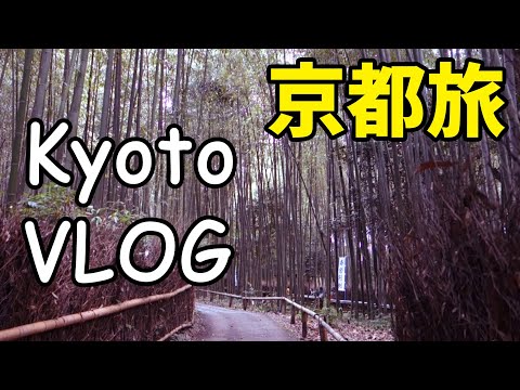 【京都旅行vlog】kyoto vlog 嵐山の「竹林の道」と「竹林の小径」そこにある超えられない壁 重大なミスを犯してしまう