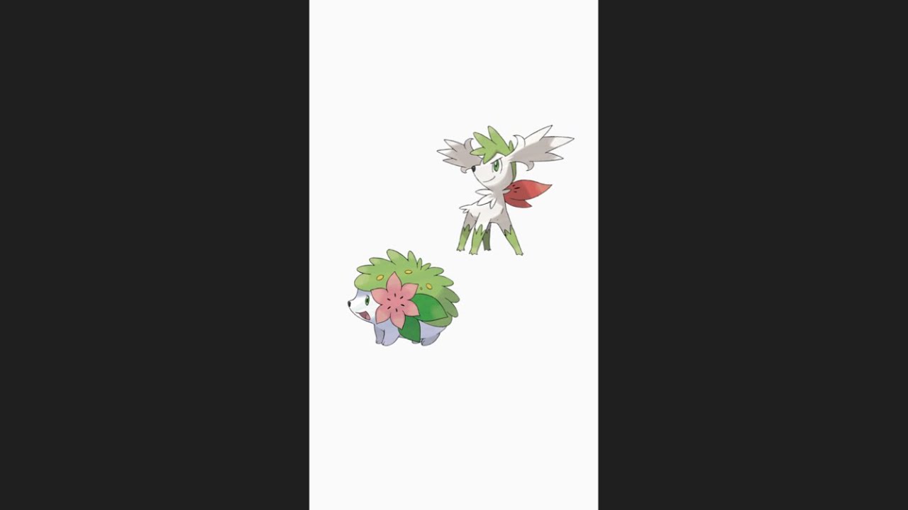 18 Facts About Shaymin 