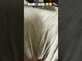 Can u jump plz mention down and cmnt below follow for more vdeos ❤️♥️🧡🫶🏻