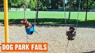 Dog Park Fails | 1/2019 by I Love My Dog 78 views 5 years ago 5 minutes, 56 seconds