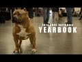 THE FINEST AMERICAN BULLIES IN THE WORLD, 2014 ABKC NATIONALS