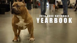 THE FINEST AMERICAN BULLIES IN THE WORLD, 2014 ABKC NATIONALS