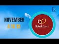 Global Peace PRAYER FESTIVAL NOVEMBER 4 to 19 - Info Plus Nepal