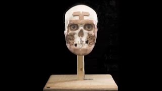 Great Job! Forensic Reconstruction Artist (Accessible Preview)