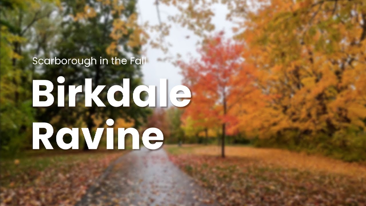 Birkdale Ravine 2022 - Scarborough in the Fall - YouTube