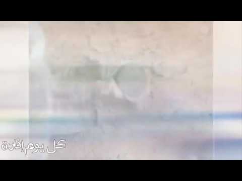 انتبه من العقرب