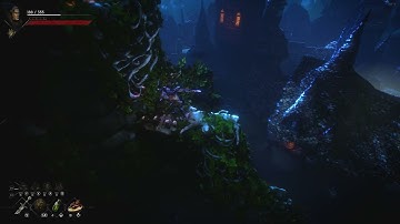 No Rest for the Wicked has a bug in the walls of the Holy City.