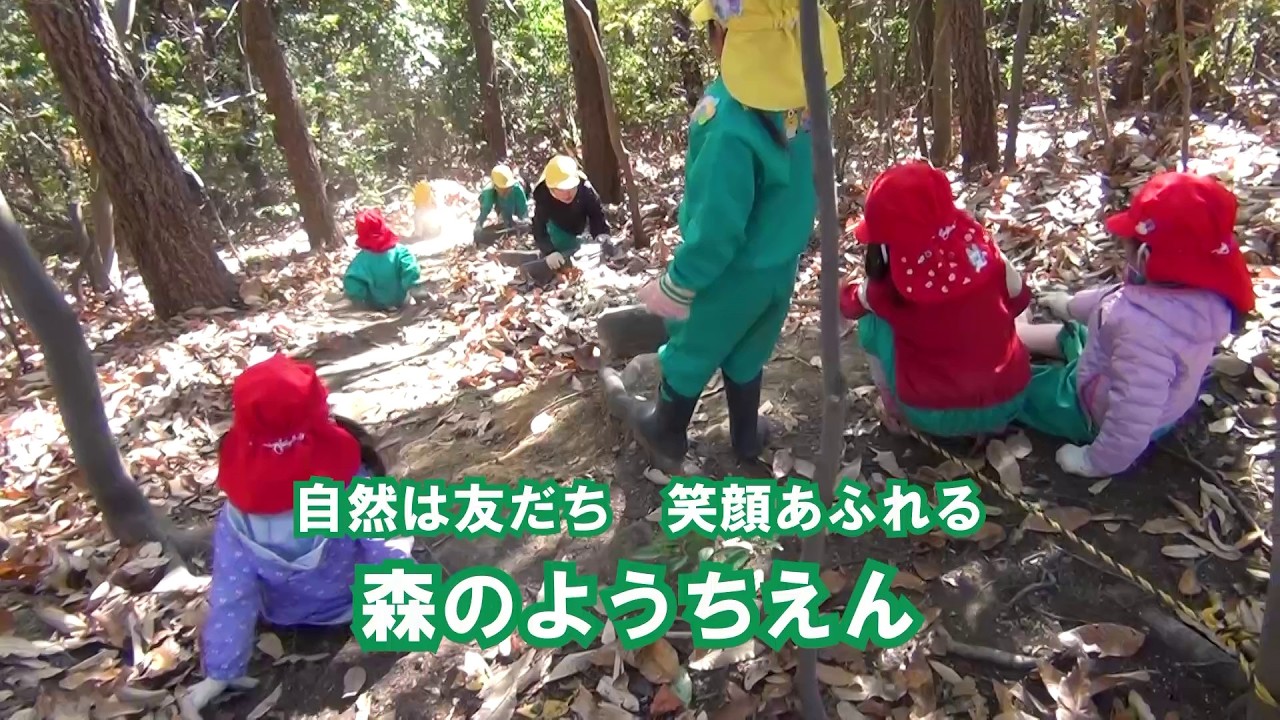 🌿自然は友だち 笑顔あふれる 森のようちえん - Forest Kindergarten: Nature is our friend, full of smiles