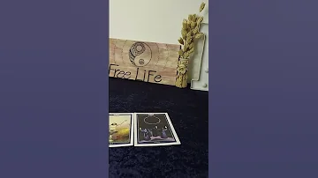 مشاعره تجاهك في اللحظة دي Free Life رساله تاروت Tarot 