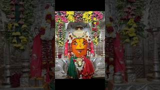 Mahurgadala Renuka khelate Fugadi #mahur #mahurgad #renuka # shortfeed #trendingshortvideo #viral