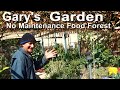 EASY Compost, Permaculture Food Forest Garden, Foraging in Woodchips, Container Gardening Raised Bed