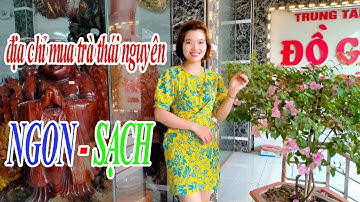 Địa Chỉ Trà Tân Cương Thái Nguyên Ngon Tại Thái Nguyên- Uy Tín Chất Lượng - Trà Tiên Lầu