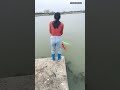 fishing29 fishing#fishing