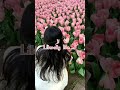 Flowers 🌸🎀✨️ #Nature lover #Nature #Flowers