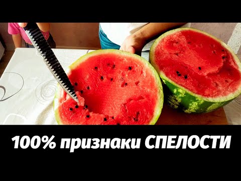 КАК выбрать АРБУЗ