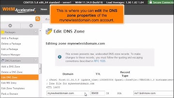 Managing DNS zones in WHM