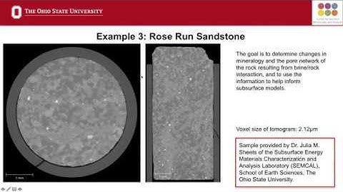 What Can I Image Using the HeliScan MicroCT at CEMAS?