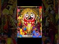 Jagannath chakka Nain Neelachal Wale #jagannath #jaijagannath #bhakti #bhajan #trending #viral #yt
