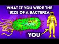 What If You Shrunk to Bacteria Size Suddenly