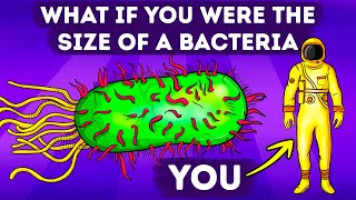 What If You Shrunk to Bacteria Size Suddenly