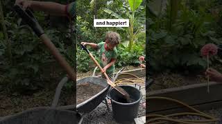 What Harvard Discovered About Kids & Chores (Mind-Blowing!)