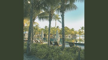 Pulsating Rejuvenating Experiences