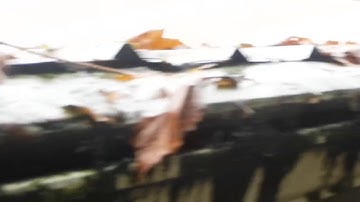 Gutter Helmet, not as Expected