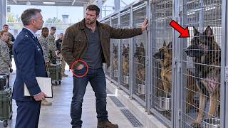 “I Will Take All These Retired K9 Dogs,” A Navy SEAL Said — No One Expected What Happened Next!_