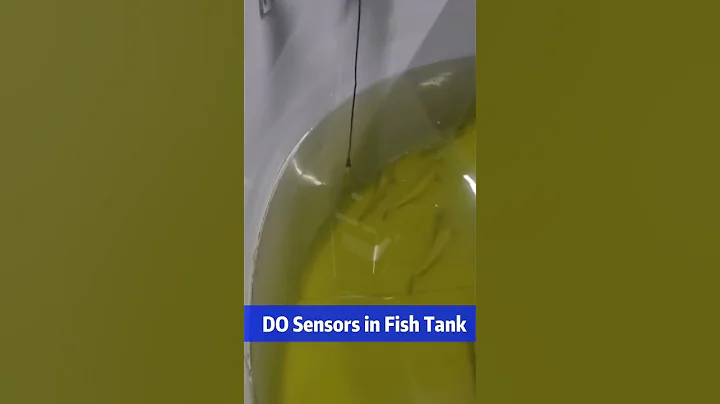 DO sensors used in fish tank