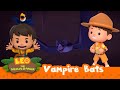 Vampire Bat | Is It Really a Blood-Sucking MONSTER? | Leo the Wildlife Ranger | Kids Animation