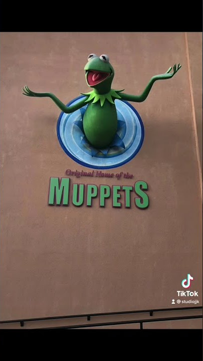 Times that I’ve met actual muppets  #disney #puppet #muppets #kermitthefrog #jimhenson