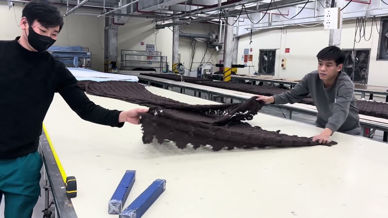 #798 âm cây Roll 14