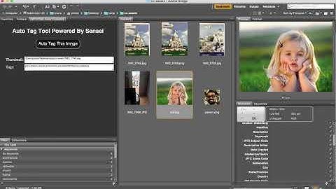 Auto Tag Tool Powered by Adobe Sensei