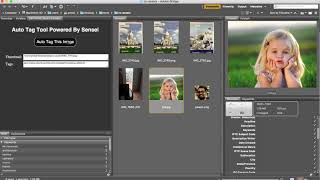 Auto Tag Tool Powered by Adobe Sensei