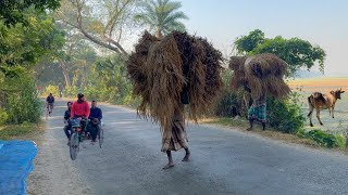 Bangladeshi Village Morning đ | Real Life of Bangladesh Village | Bangladesh Village Life Bangladeshi Village Morning đ | Real Life of Bangladesh Village | Bangladesh Village Life