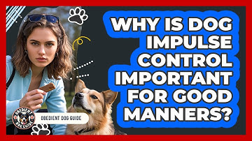 Why Is Dog Impulse Control Important For Good Manners? - Obedient Dog Guide