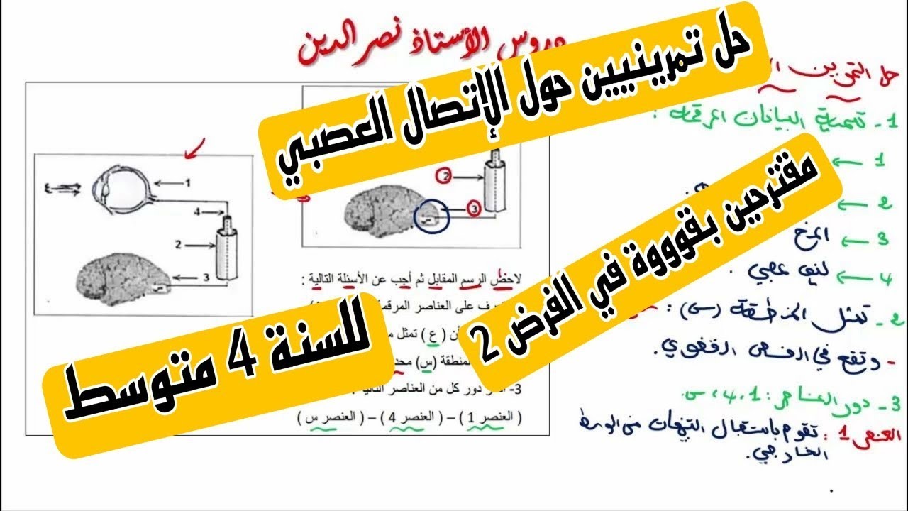 حل تمرينين حول الإتصال العصبي مقترحين بقووة في الفرض 2 للسنة 4 متوسط