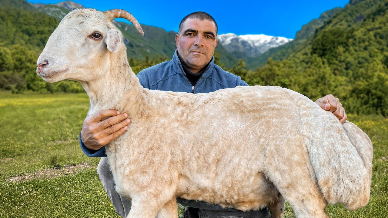 Family-Style BBQ in the Mountains of Azerbaijan – Traditional Flavors