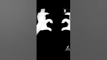 واعرة برودة القلب 