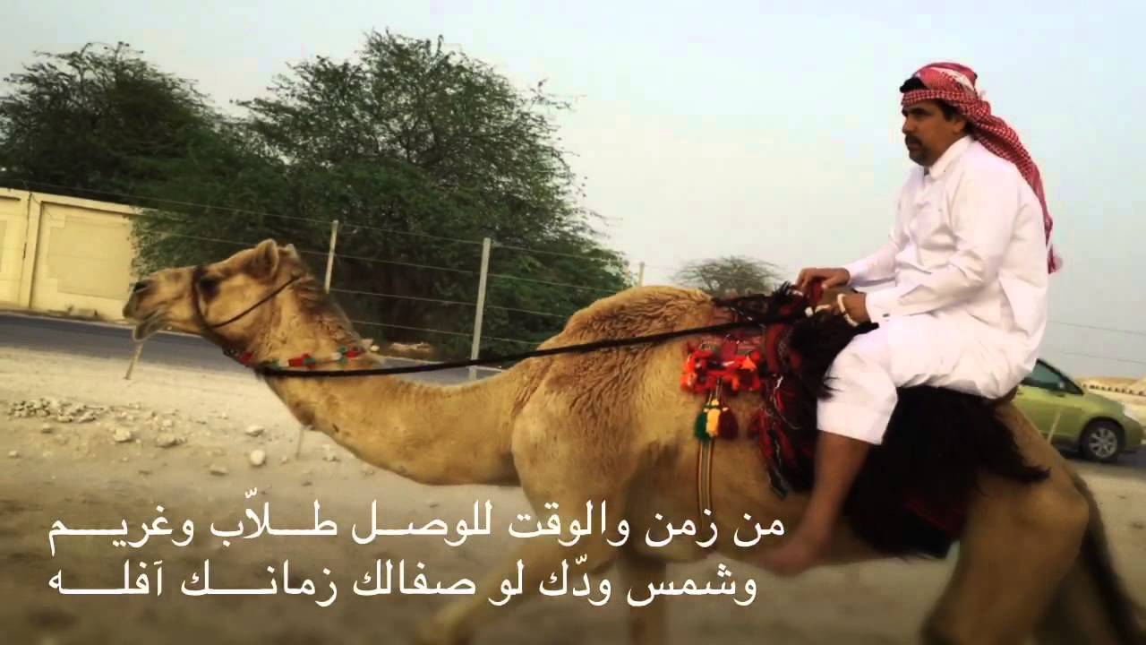 شلة ذكرتني هبت النود في الليل العتيم